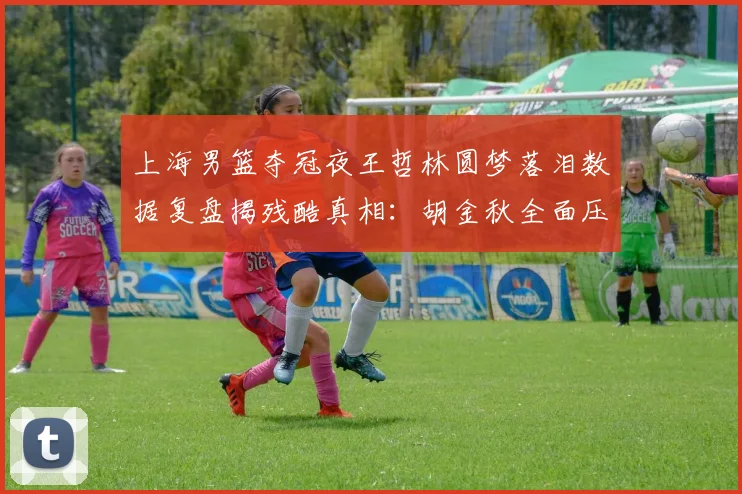 上海男篮夺冠夜王哲林圆梦落泪数据复盘揭残酷真相:胡金秋全面压制冠军中锋