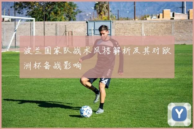 波兰国家队战术风格解析及其对欧洲杯备战影响
