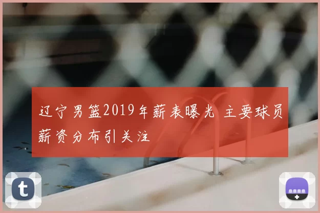 辽宁男篮2019年薪表曝光 主要球员薪资分布引关注