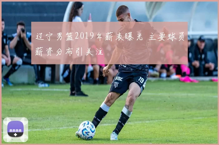 辽宁男篮2019年薪表曝光 主要球员薪资分布引关注